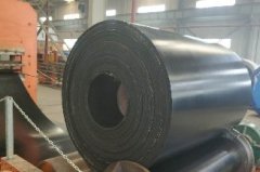 环形水果视频污下载安卓版厂家——环形输送带可以应用于那些行业？
